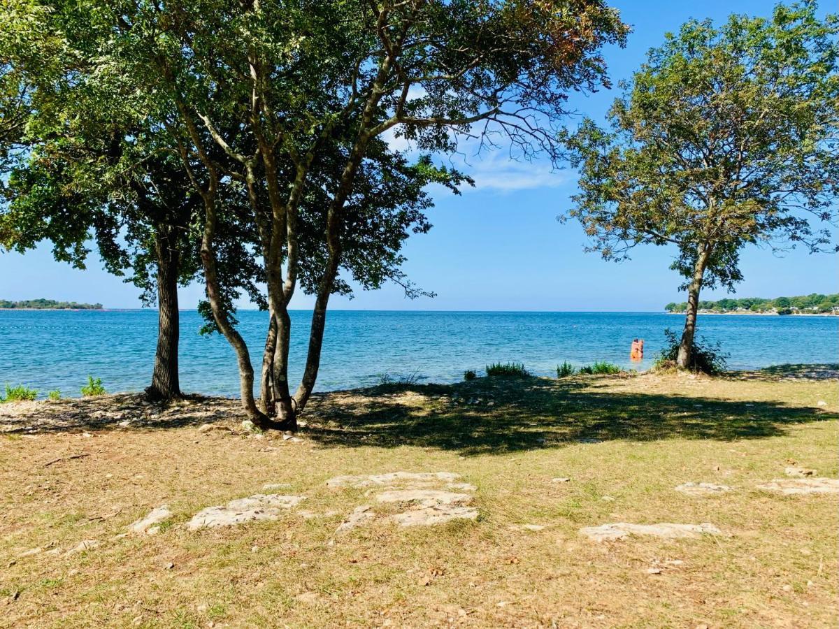 Villa Zen - With Pool & Close To The Sea Tar-Vabriga Ngoại thất bức ảnh